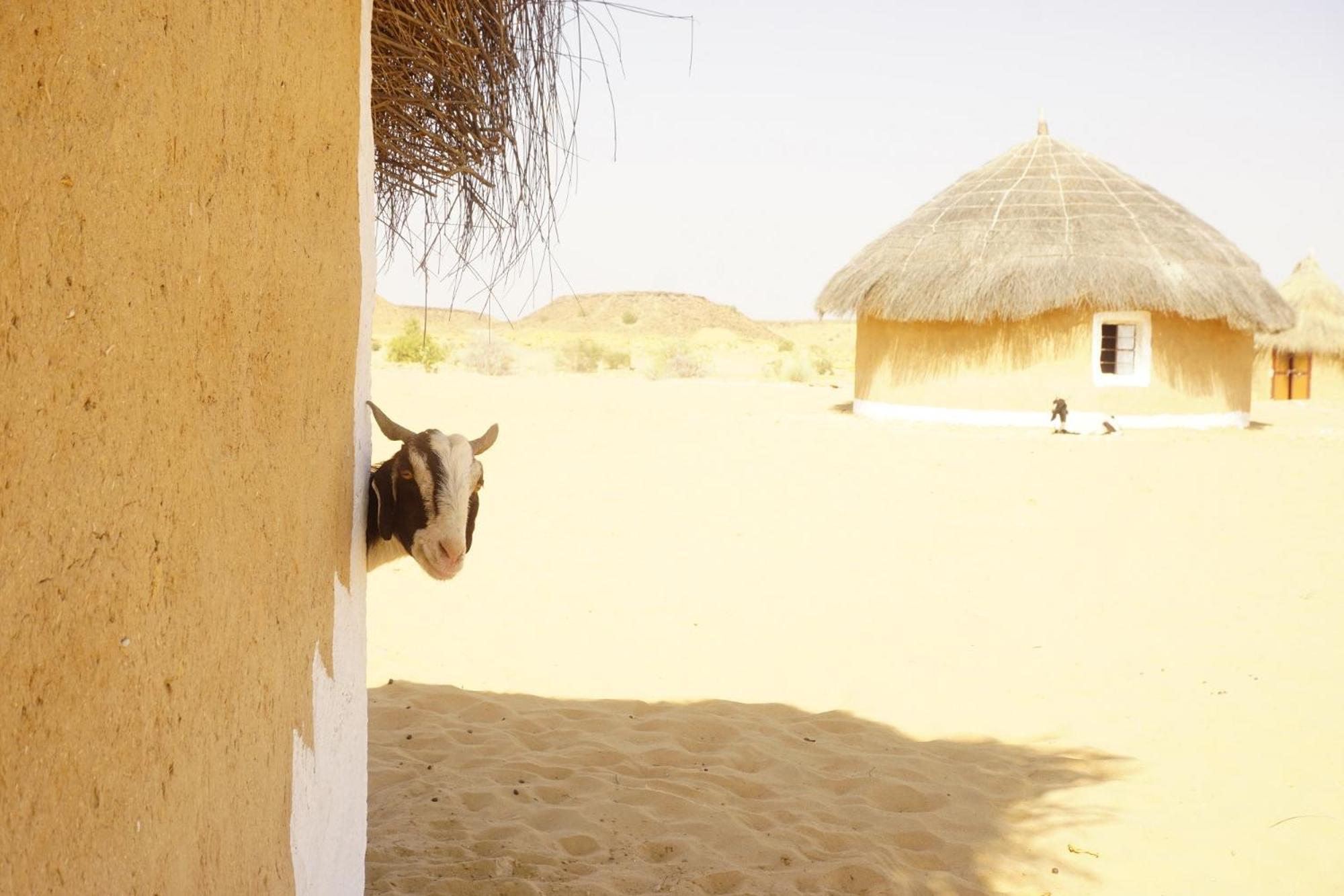 Mala Ki Dhani Hotel Jaisalmer Exterior photo