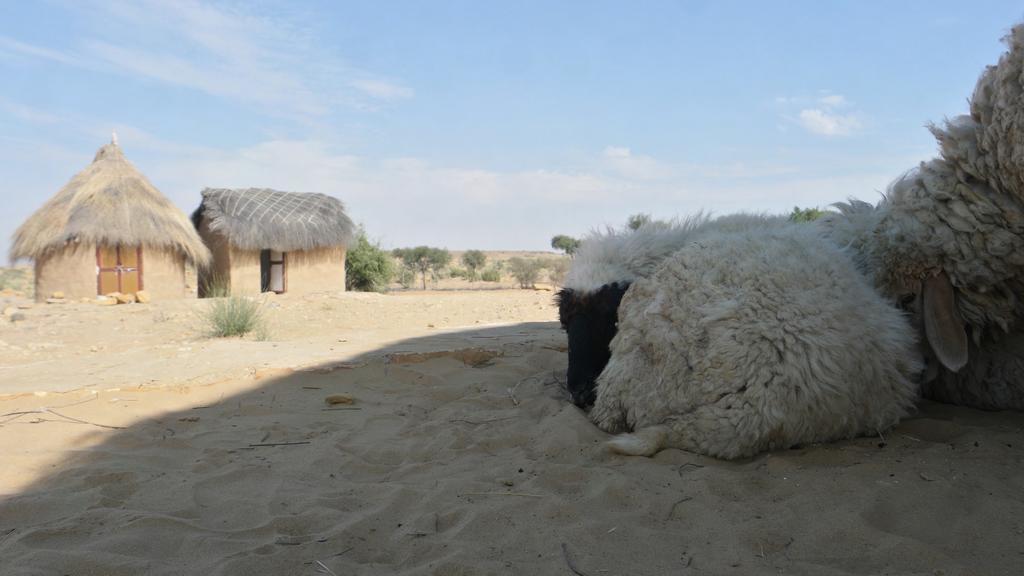 Mala Ki Dhani Hotel Jaisalmer Exterior photo